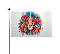 Drapeau drôle imprimé double face (91,4 x 152,4 cm), grand drapeau de jardin, décoration extérieure festive