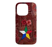 Drapeau Druze, Al Muwahhidun, Symbole étoile druzen, Drapeau Druze Coque pour iPhone 14 Pro
