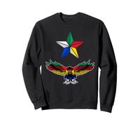 Drapeau Druze, Syrie, Liban, Suwayda, Druze, Drapeau des druzes Sweatshirt