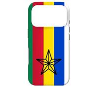 Drapeau Druzen en Syrie Israël Druze Star Druzen Coque pour iPhone 17 Pro