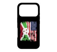 Drapeau du Burundi USA Vieilli - Demi-Américain Coque pour iPhone 17 Pro