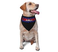 Drapeau du Cambodge, Texte Cambodgien, Art des Mots Bandanas Chien Élégant Écharpes De Chien Réglables Triangle Bavoirs pour Chat Chiens Animal De Compagnie