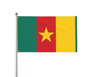 Drapeau du Cameroun. Drapeau de jardin extérieur 0,9 x 1,5 m, bannière en polyester imprimé vif, facile à accrocher pour terrasse, fête, camping