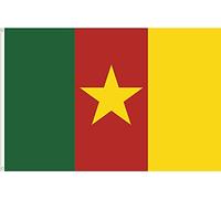 DRAPEAU DU CAMEROUN. QUALITÉ SATIN 90D. DIMENSION 150X90 Grande taille
