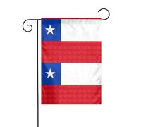 Drapeau du Chili - 30,5 x 45,7 cm - Drapeau vertical double face - Drapeau décoratif d'intérieur et d'extérieur - Drapeaux de jardin