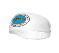 Drapeau du comté de Barnstable, Massachusetts Bandeaux Hommes Femmes Antidérapant Évacuant la Transpiration Sport Bandeau pour Gym Basket-ball Yoga Bandeaux Cheveux