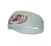 Drapeau du comté de Big Horn, Wyoming Bandeaux Hommes Femmes Antidérapant Évacuant la Transpiration Sport Bandeau pour Gym Basket-ball Yoga Bandeaux Cheveux