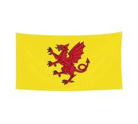 Drapeau du comté de Somerset, décoration extérieure et intérieure, durable et résistante aux UV, parfaite pour un anniversaire, Halloween, et plus encore