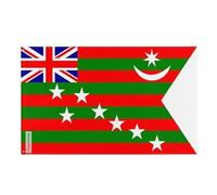 Drapeau du Home Rule Mouvement 1917 Plusieurs Tailles en Polyester 60x90cm 5. 1 œillet chaque coin