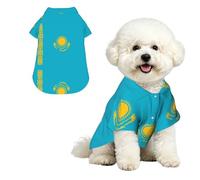 Drapeau du Kazakhstan S Chemise hawaïenne pour petits chiens - Tenue d'été mignonne pour la plage pour chiot - Vêtement doux et respirant avec boutons