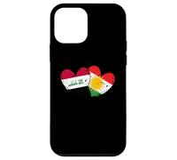 Drapeau du Kurdistan Irak en Forme de cœur Fierté kurde irakienne Coque pour iPhone 12 Mini