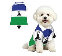 Drapeau du Lesotho M Pet Chemise hawaïenne pour petits chiens - Tenue d'été mignonne pour la plage pour chiot - Vêtement doux et respirant avec boutons