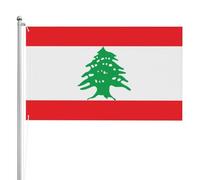 Drapeau du Liban double face 0,9 x 1,5 m Drapeau de jardin lourd triple couche double face en polyester