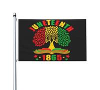 Drapeau du Mois de l'histoire des Noirs de Juneteenth 3 x 5 pieds résistant à la décoloration pour extérieur, intérieur, maison, jardin, cour, panneau décoratif