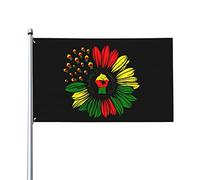 Drapeau du mois de l'histoire noire 0,9 x 1,5 m d'un côté extérieur ferme cour signe jardin drapeau décoratif avec œillets en laiton