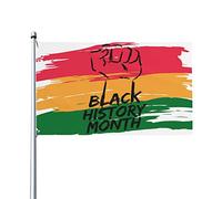 Drapeau du mois de l'histoire noire 0,9 x 1,5 m d'un côté extérieur ferme cour signe jardin drapeau décoratif avec œillets en laiton