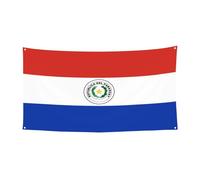 Drapeau du Paraguay, décoration extérieure et intérieure, durable et résistant aux UV, parfait pour un anniversaire, Halloween, et plus encore