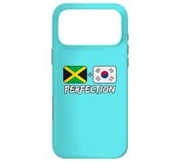 Drapeau du Patrimoine de la Jamaïque et de la Corée du Sud Coque pour iPhone 17 Pro Max