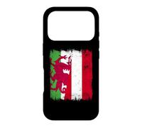 Drapeau du Pays de Galles Autriche | Welsh Austrian Roots Coque pour iPhone 17 Pro