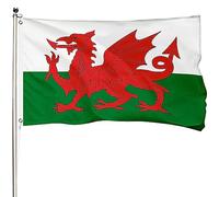 Drapeau du Pays de Galles d'extérieur de 0,9 x 1,5 m, en polyester renforcé 400D avec 2 œillets en laiton, résistant à la décoloration et robuste pour une utilisation en extérieur, entièrement