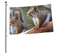 Drapeau du petit écureuil de 61 x 91 cm avec impression double face pour l'extérieur, les vacances, bannière cadeau avec œillets, toile de fond pour photo pour décoration intérieure et extérieure