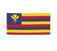 Drapeau du Royaume d'Hawaï - Bannière de fête polyvalente - Décorations de Thanksgiving et d'anniversaire, pour toutes les occasions