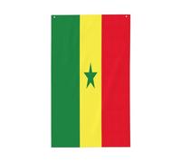 Drapeau du Sénégal imprimé pour l'extérieur - Pour toutes les saisons - Motif simple face - Pour cour, porche, terrasse
