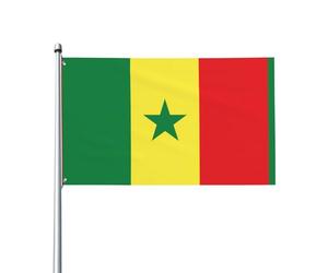 Drapeau du Sénégal. Imprimé sur un seul côté, 0,9 x 1,5 m, léger et fluide, adapté pour une utilisation en intérieur et en extérieur.