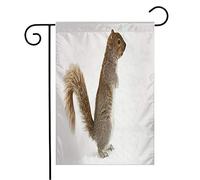 Drapeau Écureuil Isolé Curieux Blanc Neige Marron Animaux Fureur Faune Parcs Gris Rouge Extérieur Vertébré Couleurs Resistant Exterieur Drapeau Paysage, Pour Les Bureaux, D'Intérieur, 30x45cm