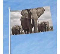 Drapeau éléphant africain amusant pour toutes les saisons - Pour décoration de dortoir, fête en plein air - 91 x 152 cm
