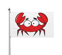 Drapeau en forme de crabe de dessin animé, 9,6 x 1,5 m, pour extérieur, double face, drapeaux de bienvenue, bannière de décoration pour cour, porche, pelouse