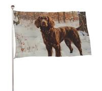 Drapeau Épagneul Des Champs Dans Le Paysage Hivernal Drapeau Militaire Personnalisés Décoration Bannière, Pour Les Défilés, D'Intérieur, Les Bureaux, 90X150Cm