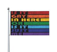 Drapeau Est-Ce Que C'Est Gay Ici ? Rainbow De La Fierté De Genre Œillets En Laiton Dans Bannière Couleur Vive Drapeau Pirate Pour L'Extérieur Intérieur Bar 3X5Ft