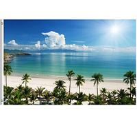 Drapeau Été Plage Mer Palmier Lumière Du Soleil Tropical Littoral Nature Drapeau De Bienvenue Traditionnel 2 Œillets Métalliques Bannière À Œillets, Pour Balcon, Les Défilés, 90x150cm