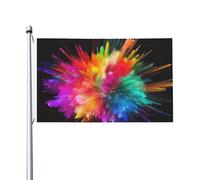 Drapeau explosion de couleur 0,9 x 1,5 m pour extérieur et intérieur, printemps, été, automne, hiver, drapeau de jardin avec œillets double face pour décorations de cour