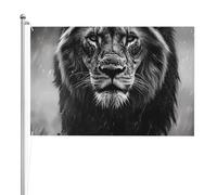 Drapeau extérieur double face Lion africain noir et blanc xft, polyester durable résistant aux intempéries avec couleurs vives pour jardin, cour, terrasse ou maison