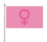 Drapeau Extérieur Fierté Lgbt L'Amour C'Est L'Amour Pirate Drapeaux Résistants Aux Intempéries Drapeau De Jardin Pour Terrasse, Cadeau D'Anniversaire, Décoration D'Halloween, 90X150cm
