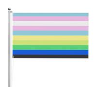 Drapeau Extérieur Fierté Lgbtq Variant Selon Le Genre Pirate Drapeaux L’Extérieur Drapeau De Jardin Pour Décoration D'Intérieur, Cadeau D'Anniversaire, Festival, 90X150cm