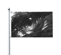 Drapeau Eye of Eagle pour maison de cour, 9,5 x 1,5 m, bannière de vœux avec œillets, décoration d'intérieur et d'extérieur