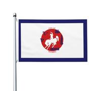 Drapeau Flag De Casper, Wyoming Grand Drapeau Couleurs Vives Lavable Bannière, Pour D'Intérieur, Balcon, Les Défilés, 90X150Cm