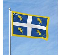 Drapeau Flag De Turin Grand Drapeau Couleurs Vives 2 Œillets Métalliques Bannière, Pour Les Bureaux, Les Défilés, Jardin, 90X150Cm