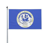 Drapeau Flag Du Comté D'Albany, New York Bannière De Drapeaux Couleurs Resistant Exterieur Imprimé Bannière À Œillets, Pour Les Défilés, Jardin, Les Bureaux, 90X150Cm