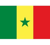 Drapeau flag Sénégal, Sénégalais,150 * 90cm tissus 100% polyester neuf