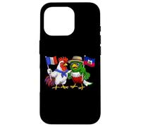 Drapeau France Haïti Racines Françaises Héritage Haïtien Coque pour iPhone 16 Pro