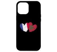 Drapeau France Maroc Cœurs Amitié Marocain Coque pour iPhone 12 Pro Max