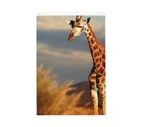 Drapeau girafe animaux d'Afrique 9,5 x 1,5 m, drapeaux de jardin vibrants double face, bannière de bienvenue saisonnière avec œillets en laiton, décoration de fond photo pour cour, porche, pelouse