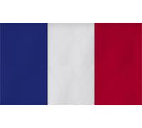 Drapeau Grand Format 250 x 150 cm Résistant au Temps 16 Finitions Différentes avec Œils - 150 x 250 cm, France