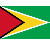 Drapeau Guyana - (15x10cm) - Sticker