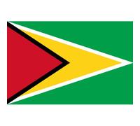 Drapeau Guyana - (15x10cm) - Sticker/Autocollant