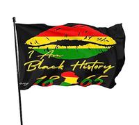 Drapeau Histoire Des Noirs, Fierté Noire Afro-Américaine Bannière De Drapeaux Décoration Lavable Bannière À Œillets, Pour Les Bureaux, Les Défilés, D'Intérieur, 90X150Cm